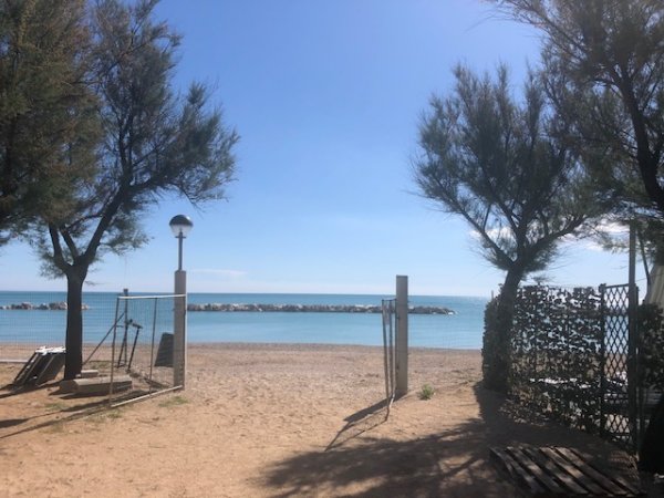 Camping Pineta