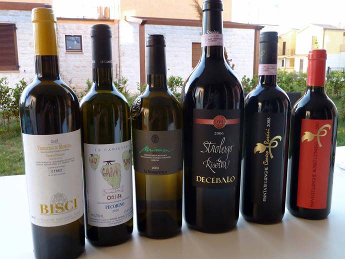 bottiglie di Verdicchio, Pecorino, Rosso Conero