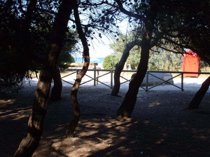 La pineta di Porto Sant'Elpidio con vista della spiaggia