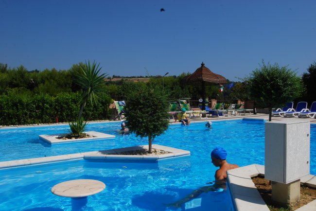 Una piscina con zone verdi e persone che nuotano.