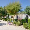 Giardino con mobilhome, alberi, cespugli fioriti e una bicicletta viola lungo il sentiero.