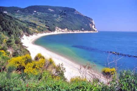Spiaggia sabbiosa con mare turchese e una scogliera verde ricoperta di vegetazione.
