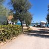 Strada sterrata costeggiata da alberi e siepi, con vista sul mare e alcuni camper parcheggiati.