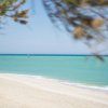 Spiaggia sabbiosa con mare turchese, visione parziale attraverso rami di alberi.